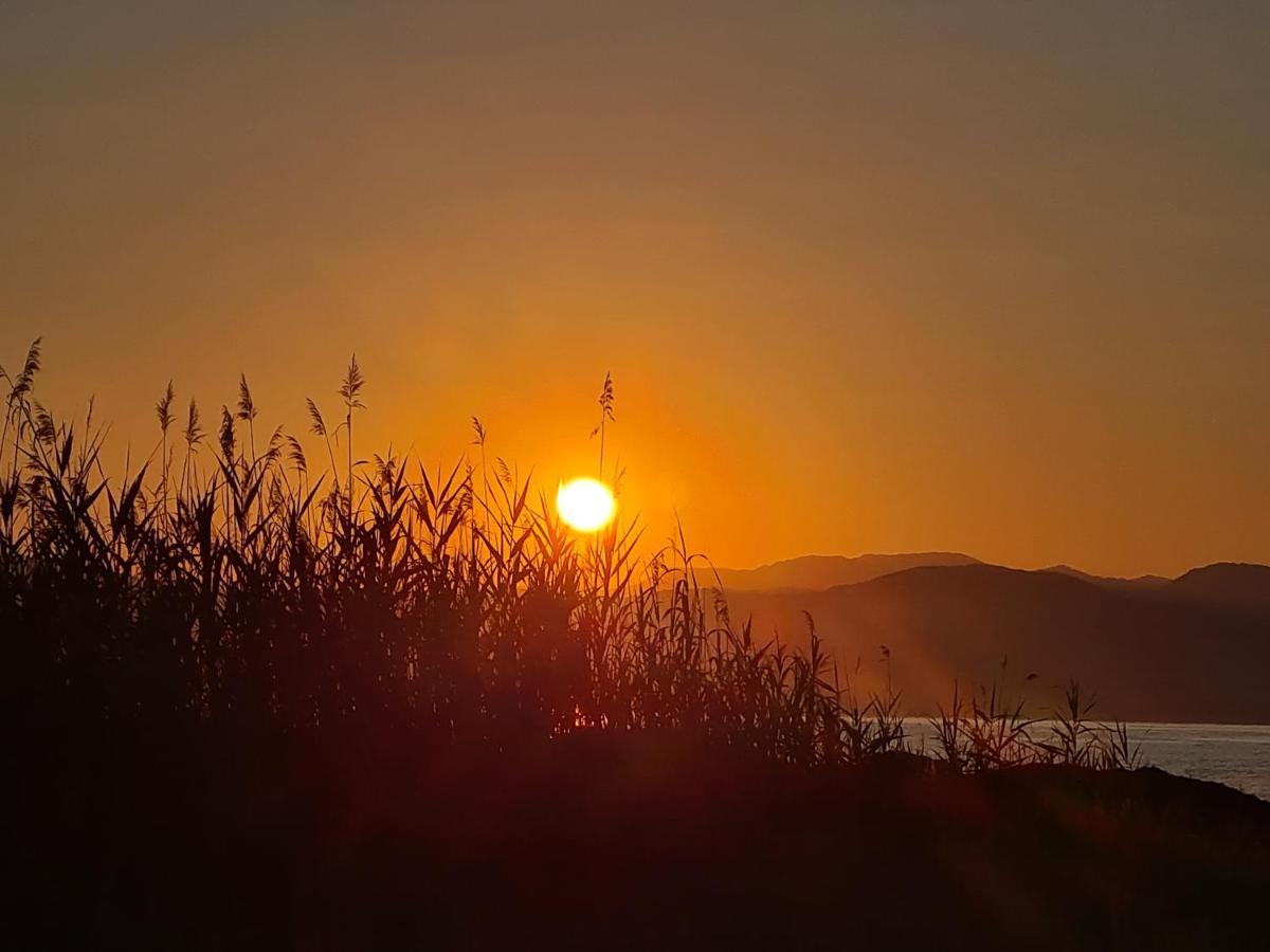 Avra Beach Apartments Lefkimmi  Bagian luar foto